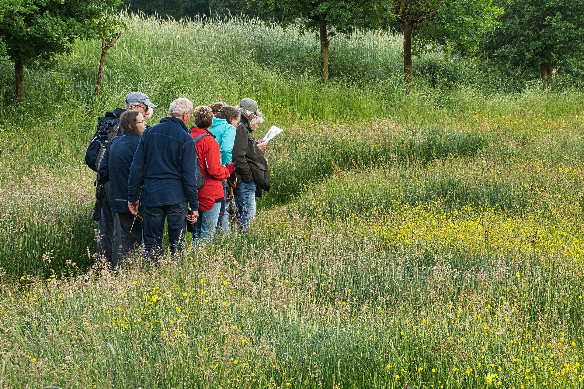 Groep mensen in een groene, bloemrijke weide, kijkend naar een natuurgebied of gids.