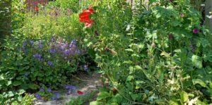 een levende tuin maak je zelf