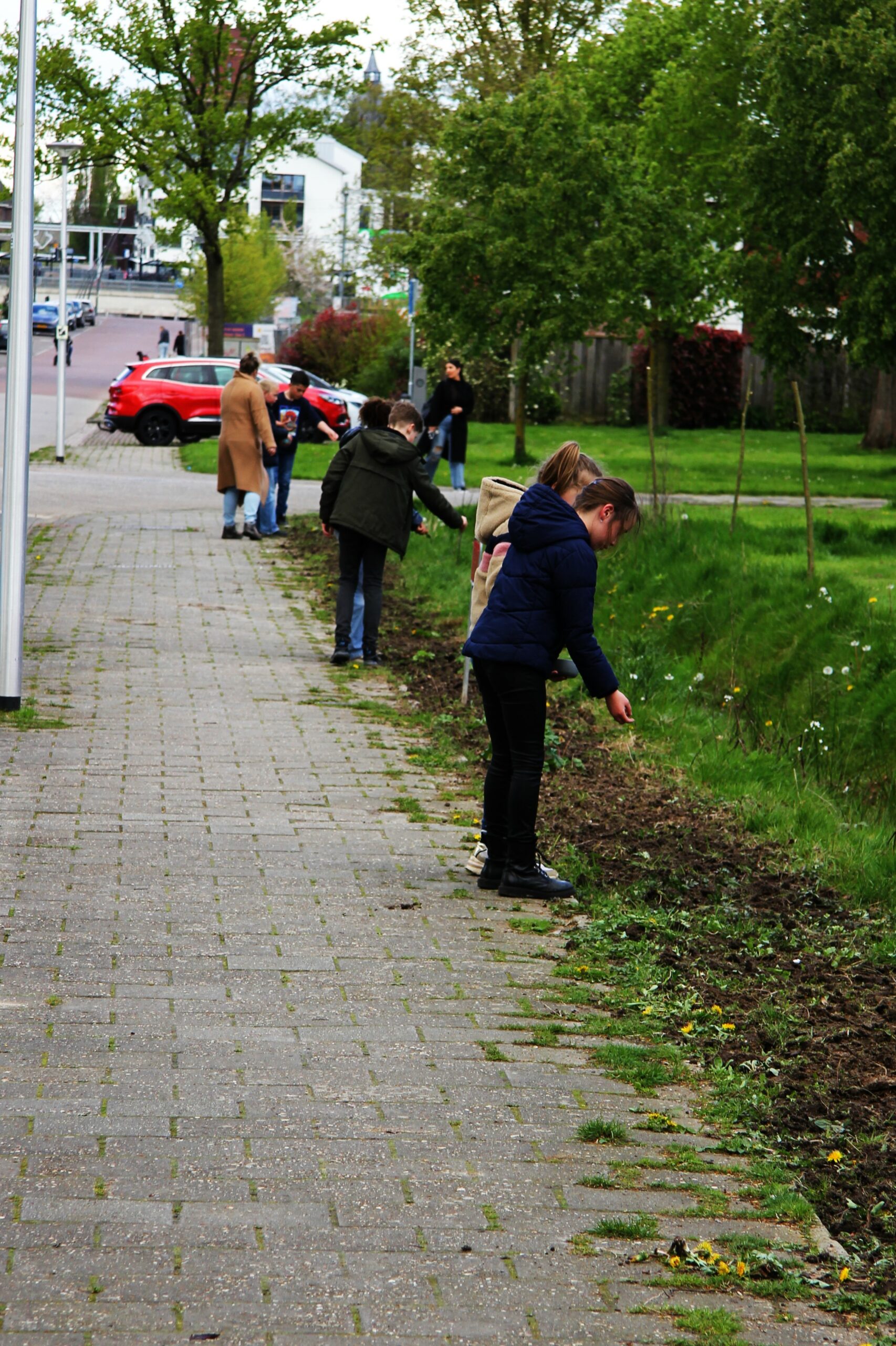 Kinderen planten zaadjes langs een trottoir met groen gras en bomen op de achtergrond.