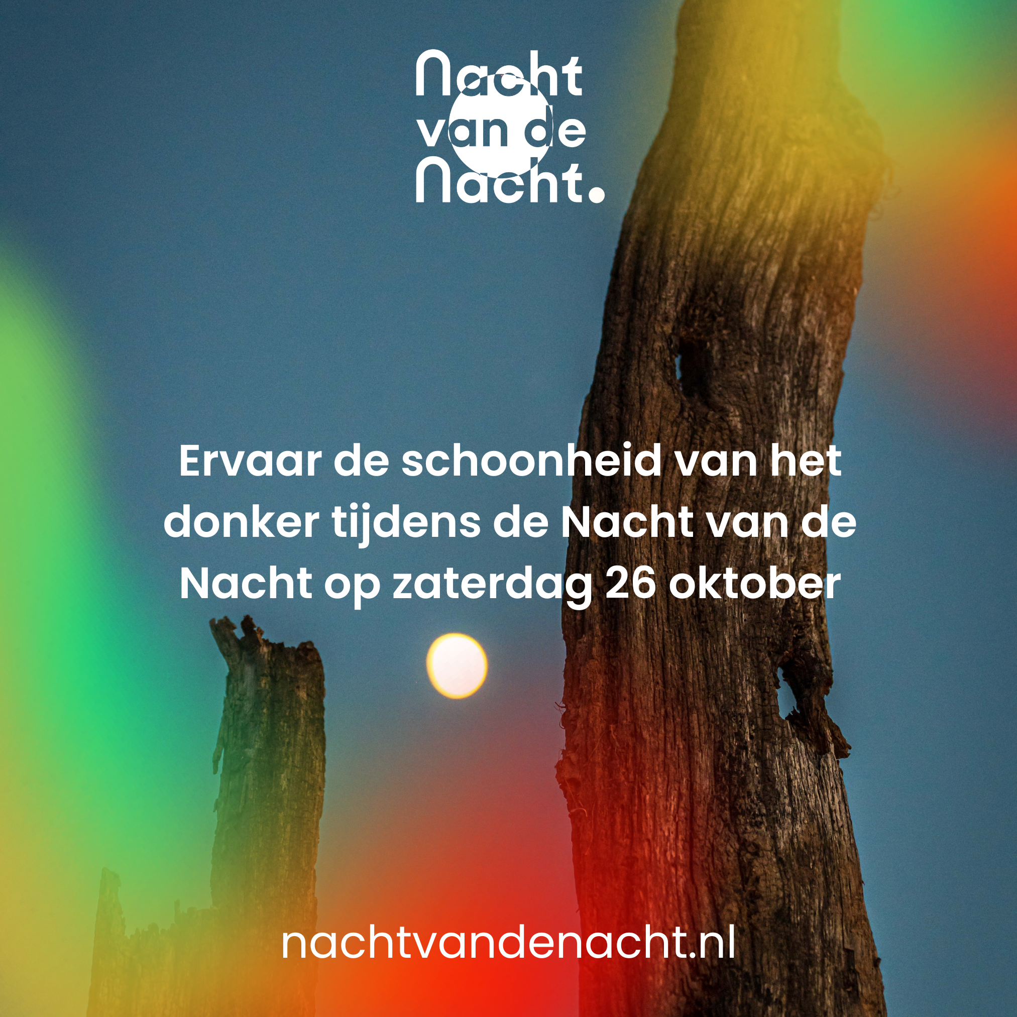 Tekst over Nacht van de Nacht, met een boomstronk voor een donkere lucht en een volle maan.