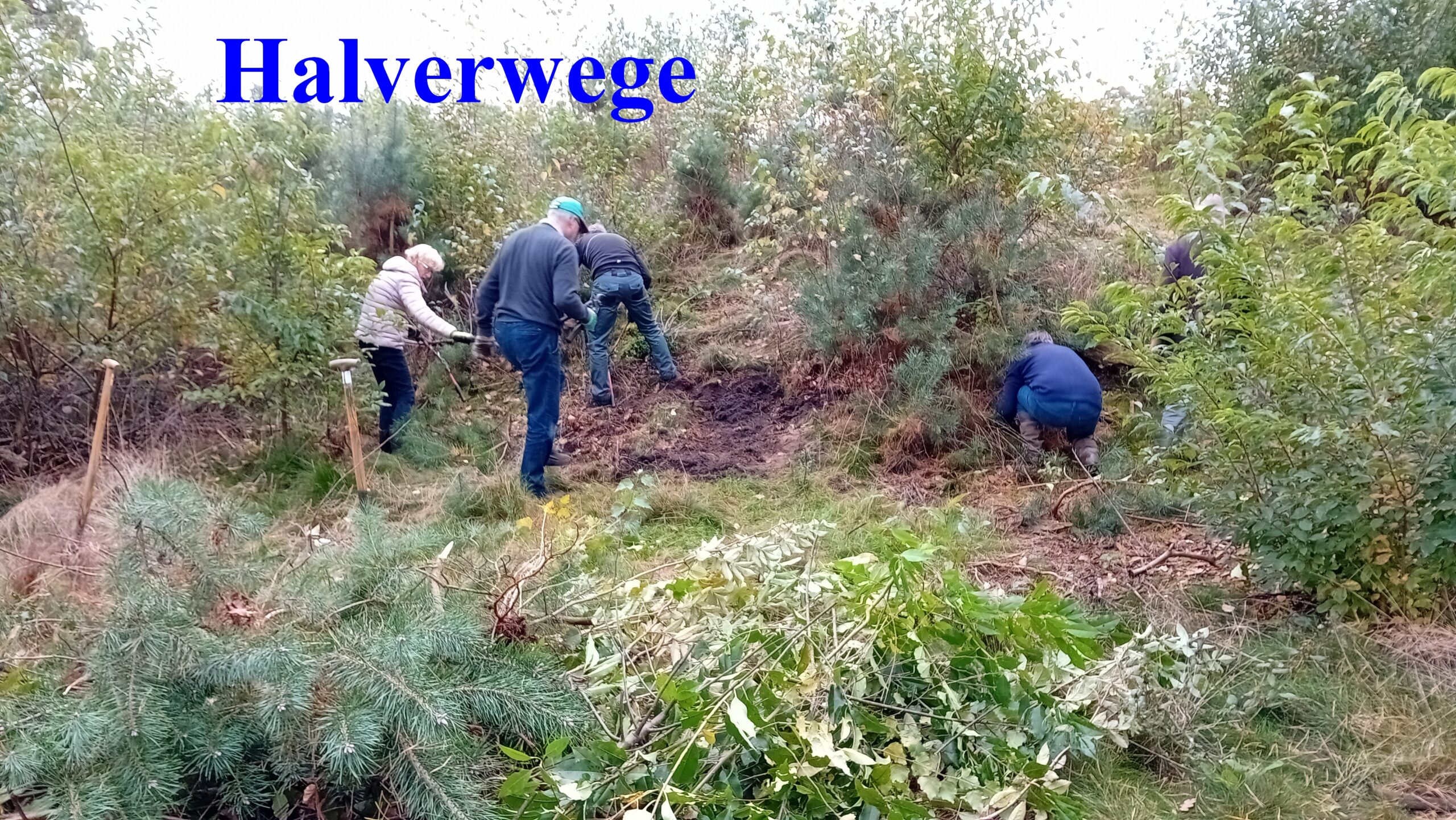Vrijwilligers werken in een bosrijk gebied met het verwijderen van vegetatie; tekst: "Halverwege".
