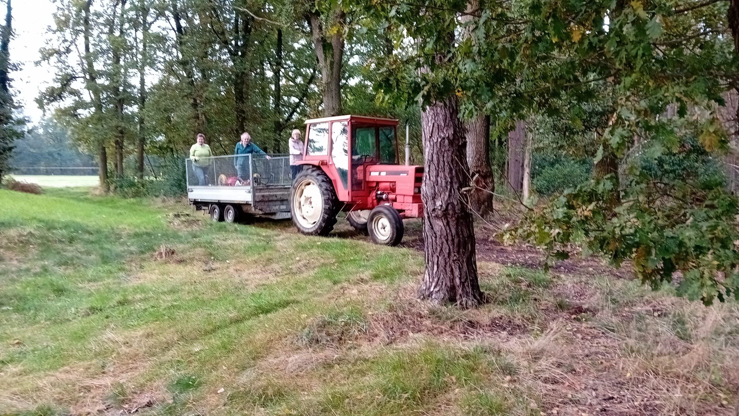 Rode tractor met aanhanger in een bosrijke omgeving, twee mensen staan op de aanhanger.