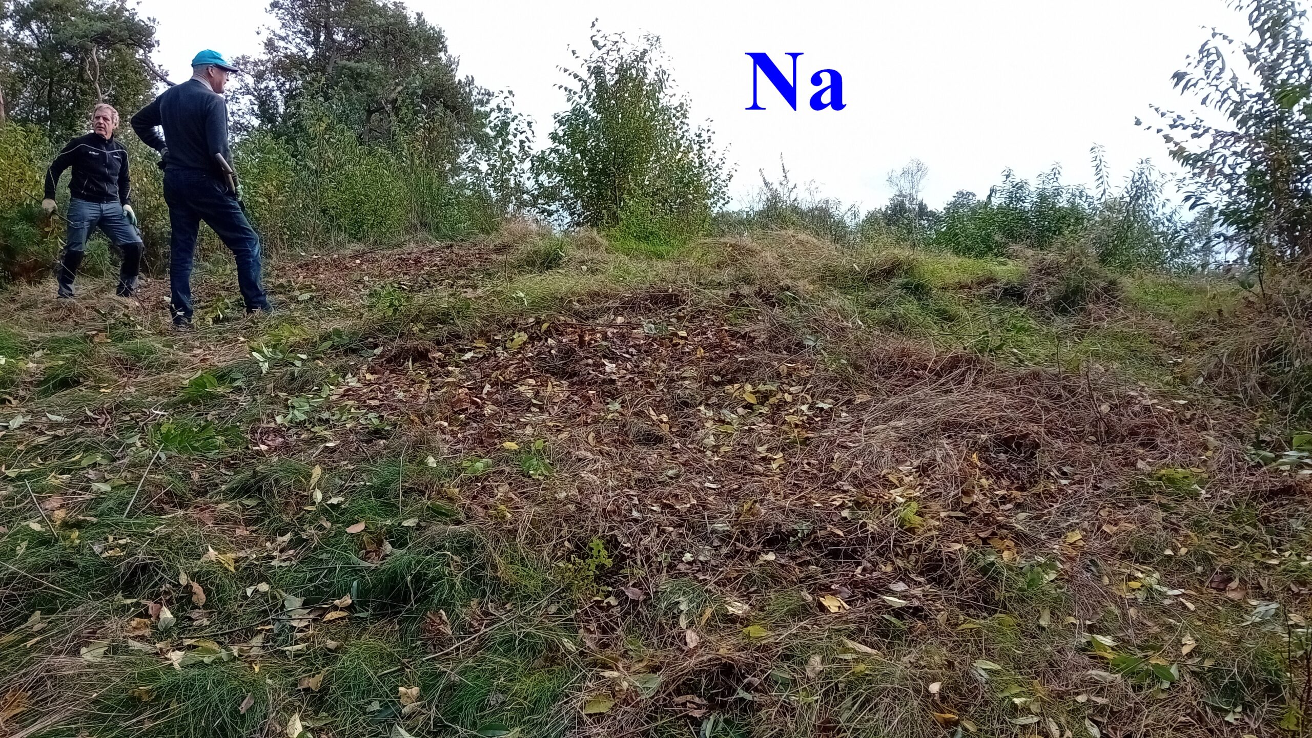 Twee mensen staan op een open plek met gekortwiekt gras en bladeren, omringd door bomen.