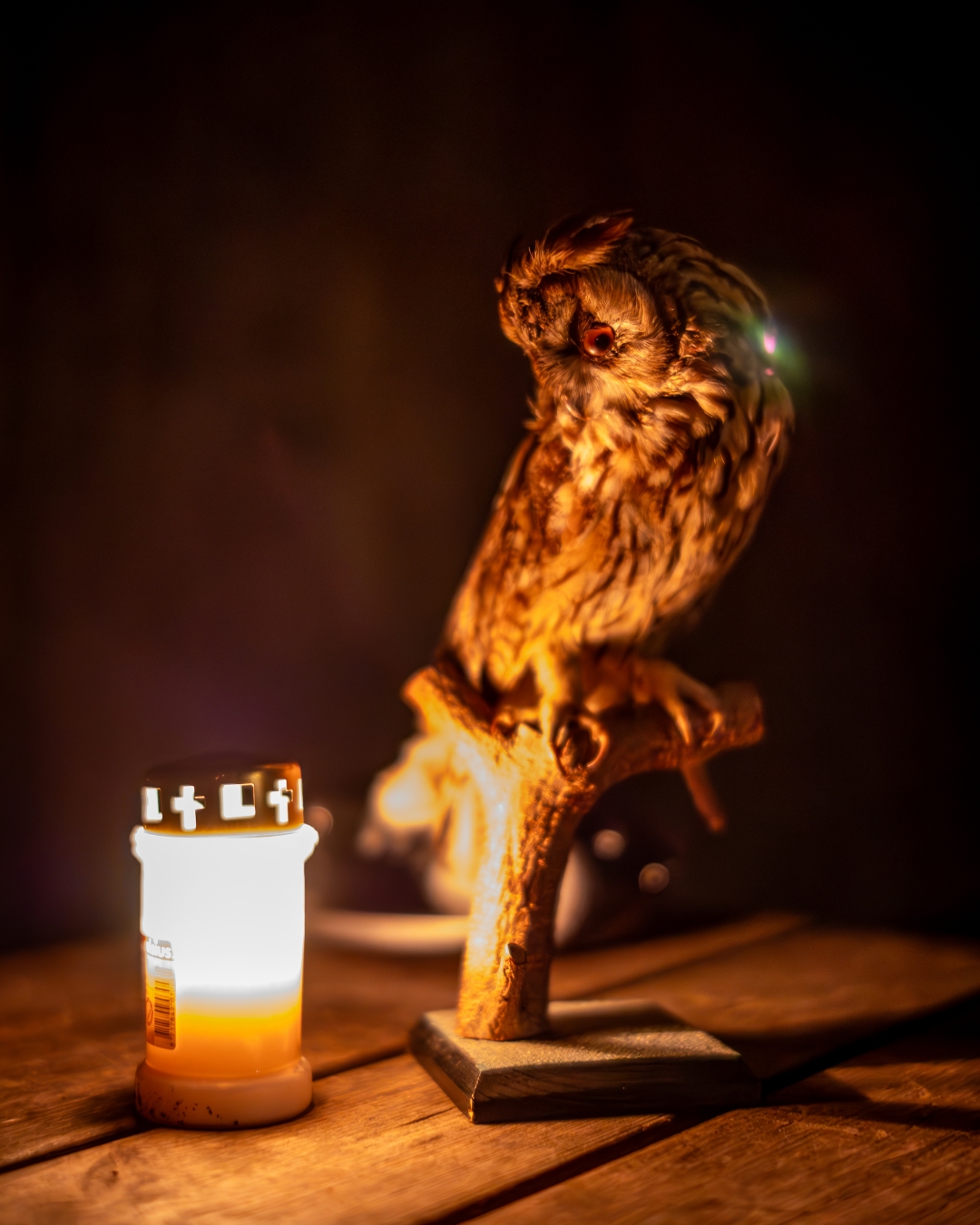 Uil op houten standaard naast een brandende kaars op een tafel in schemerlicht.