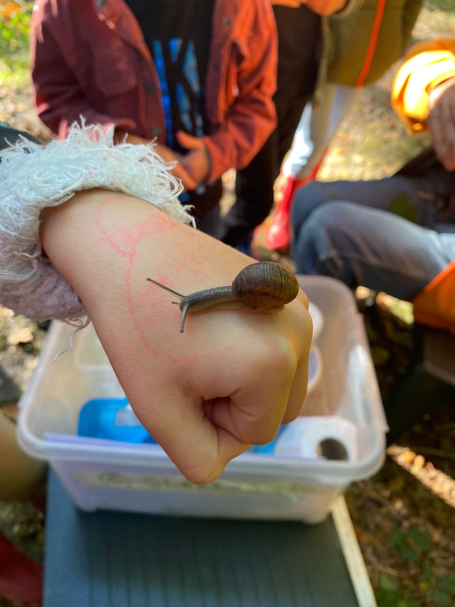 Een slak kruipt over de hand van een kind in een buitenomgeving.