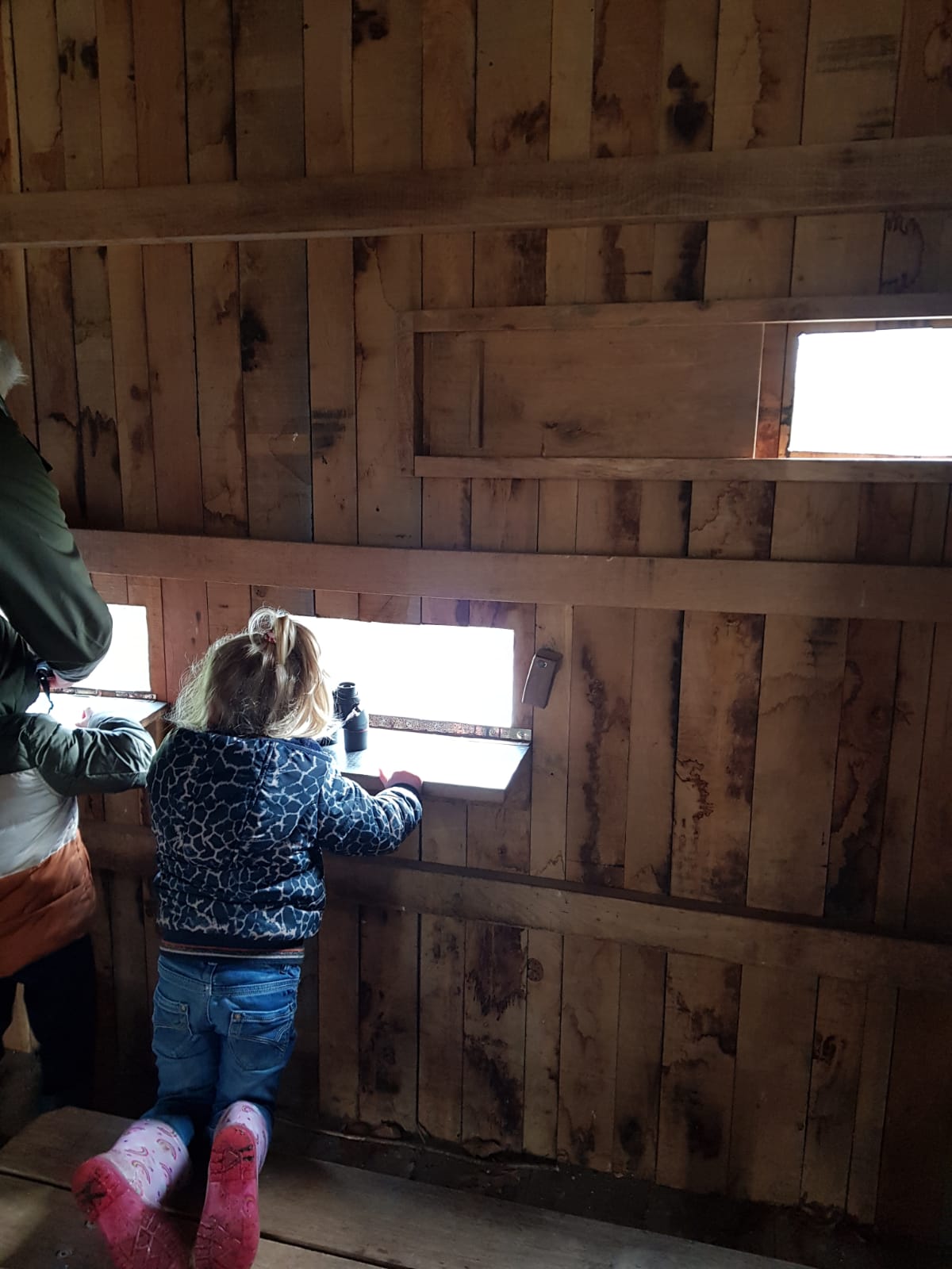 Kind kijkt door kijkgat in houten vogelobservatiehut met een verrekijker.