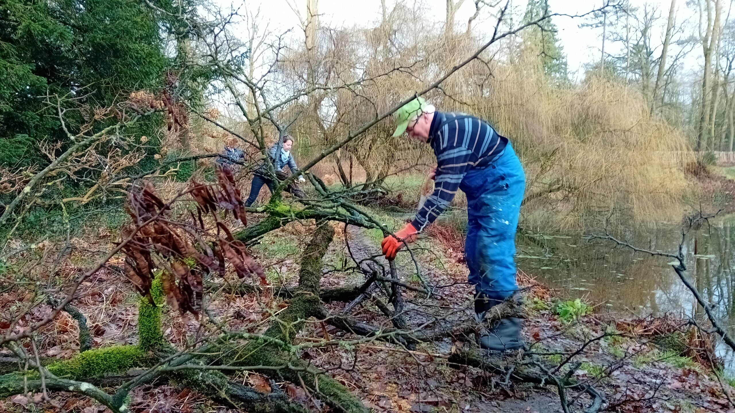 Mensen zagen takken van een omgevallen boom bij een vijver in een bosrijke omgeving.