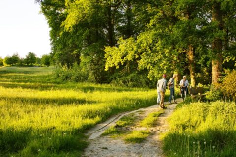 Drie mensen wandelen op een zonnig bospad omgeven door groen gras en grote bomen.