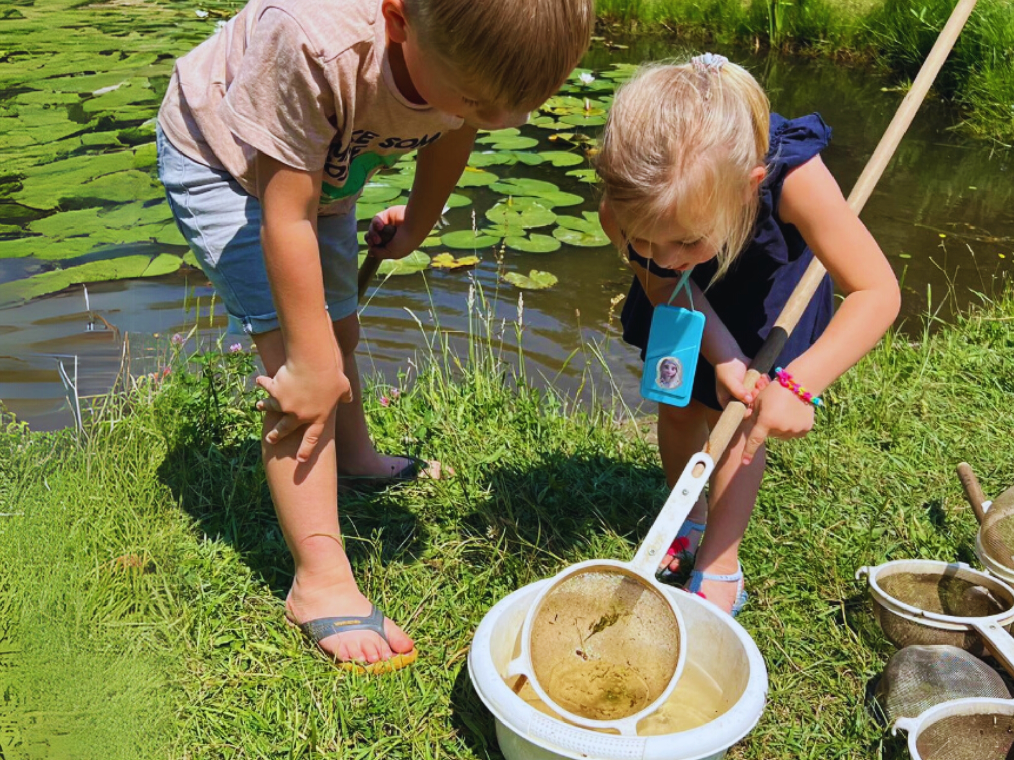 Kinderen onderzoeken waterleven met netten aan de rand van een vijver met waterlelies.