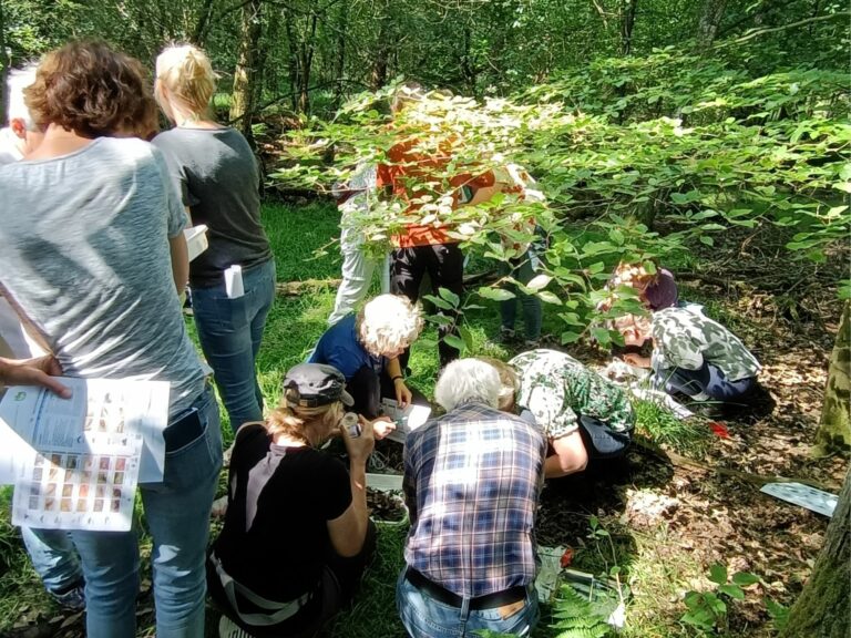 Mensen onderzoeken planten op de bosgrond, omgeven door bomen en zonlicht.