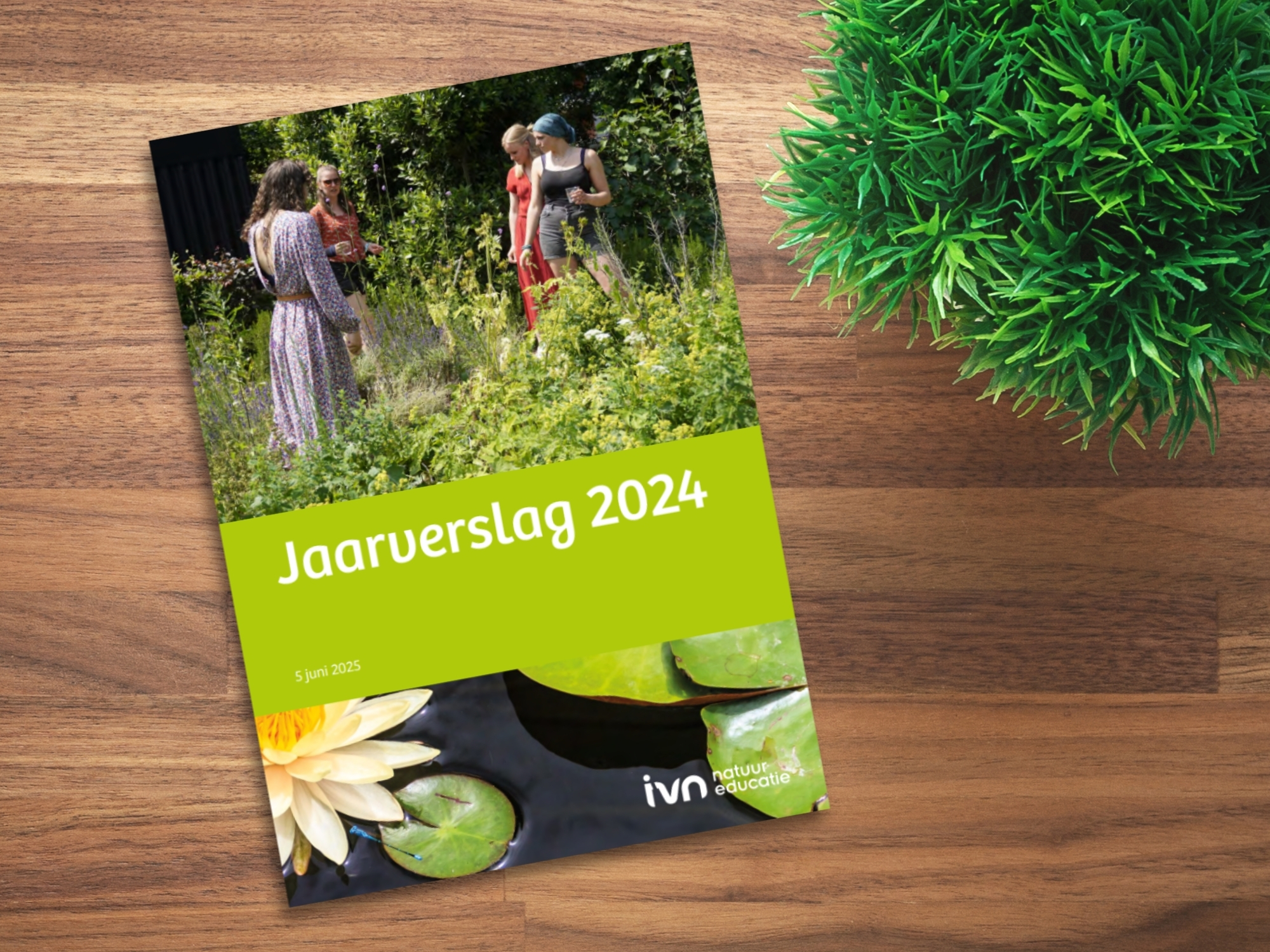 Jaarverslag 2024, IVN Natuureducatie, op tafel naast groene plant.