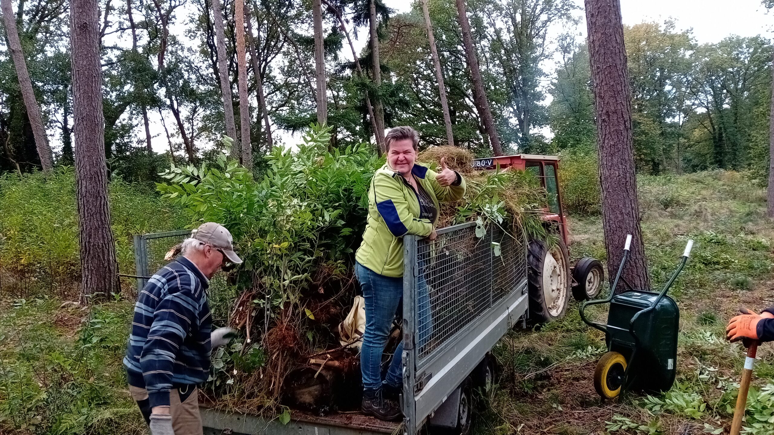 Mensen laden een aanhanger vol met planten en takken in een bosrijke omgeving.