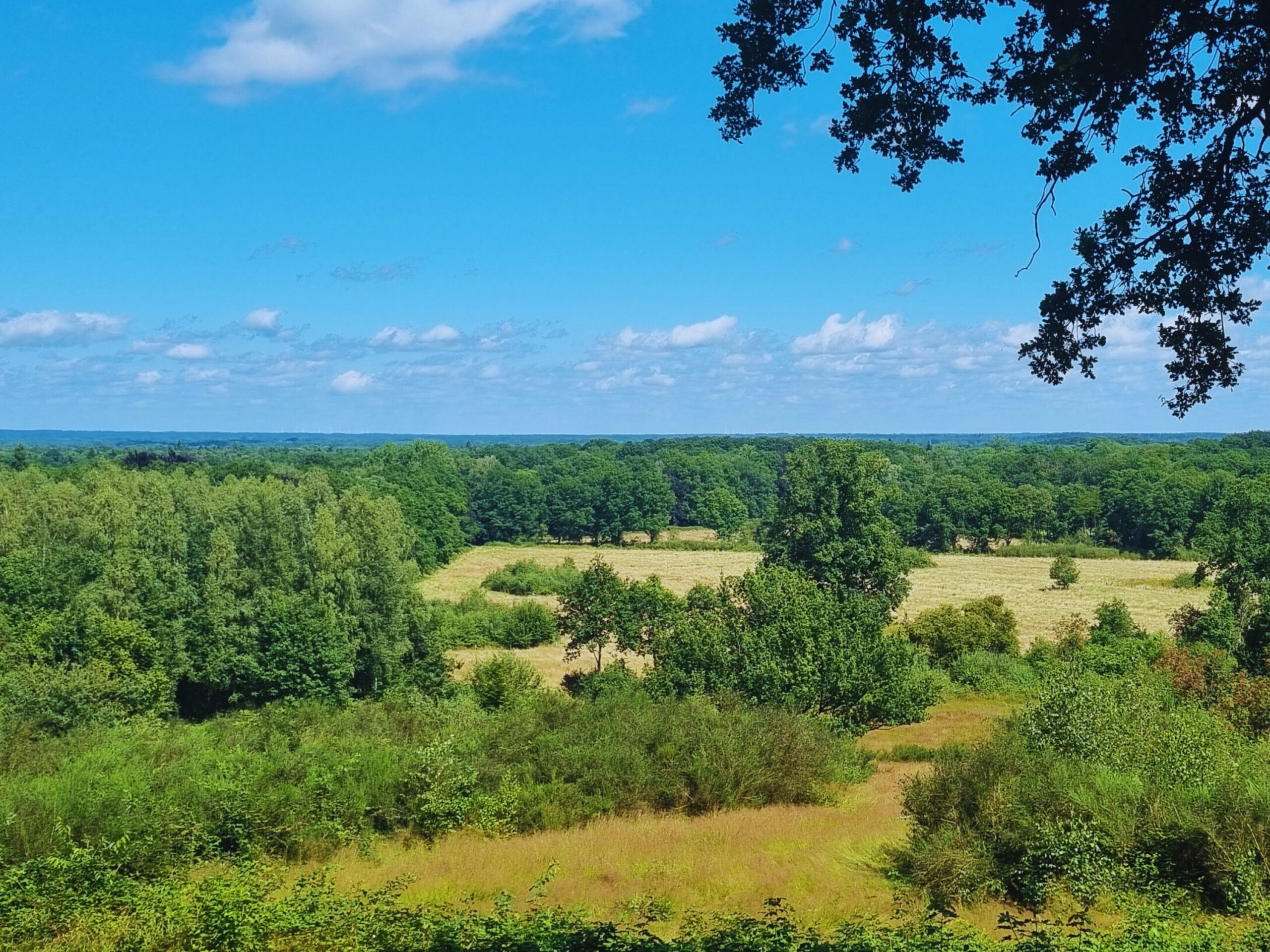 Uitzicht op een groen landschap met velden, bossen en blauwe lucht met wolken.