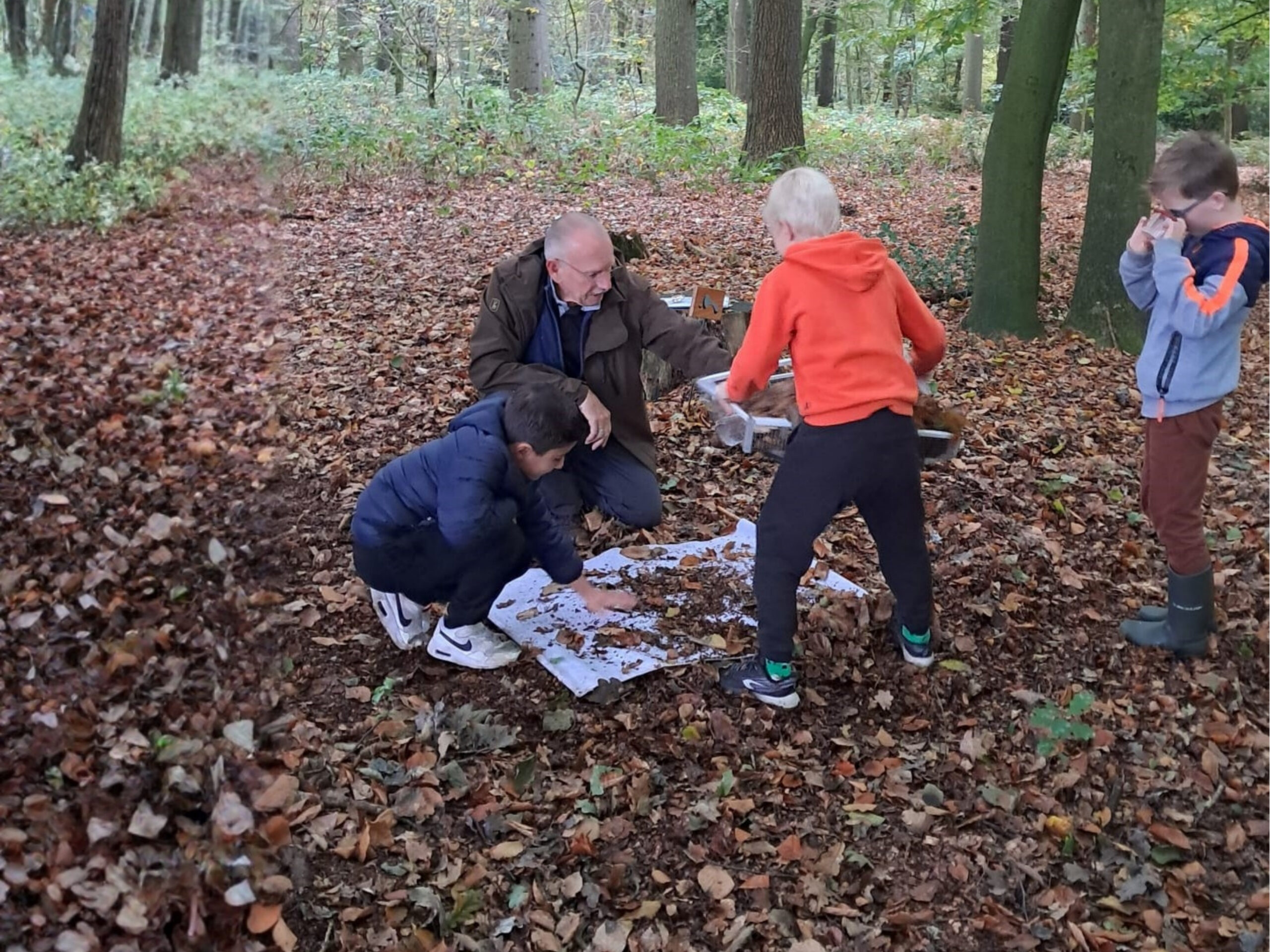Kinderen en volwassene onderzoeken bladeren in bosrijke omgeving.