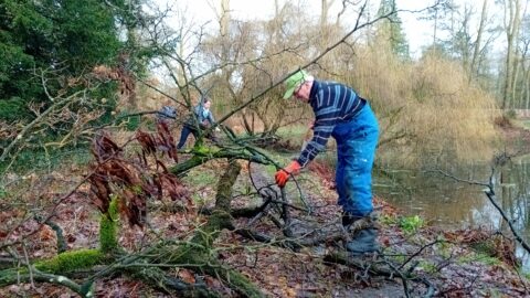 Mensen snoeien takken aan de rand van een bos bij een vijver.