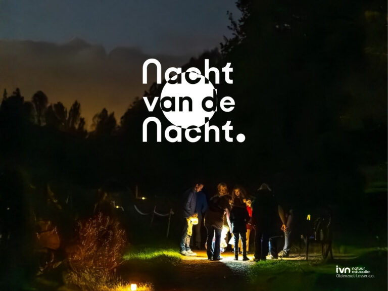 Groep mensen met zaklampen in donkere buitenomgeving, tekst: 