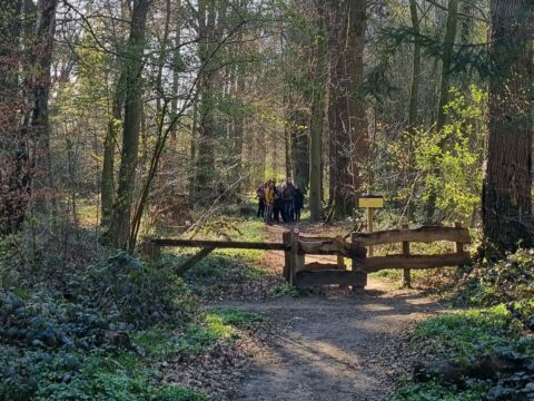 Groep mensen in een zonnig bos, achter een houten hek op een wandelpad.