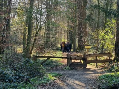 Een groep mensen wandelt op een bospad, geflankeerd door bomen en een houten hek.