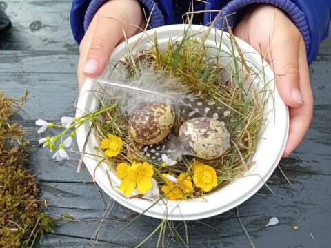 Handen houden een schaaltje met kwarteleitjes, veren, bloemen en gras vast.