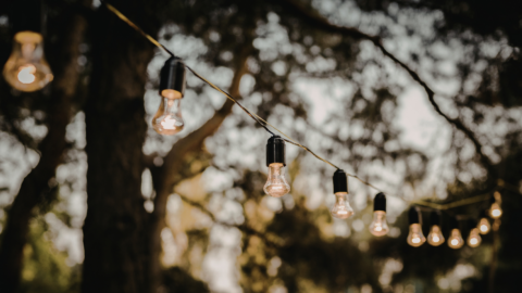 Decoratieve gloeilampen hangen in rij tussen bomen bij schemering.