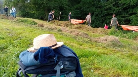 Mensen verzamelen hooi op een grasveld; op de voorgrond ligt een rugzak met een hoed.