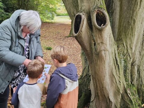 Twee kinderen en een vrouw bestuderen een natuurkaart naast een boom met opvallende holtes.