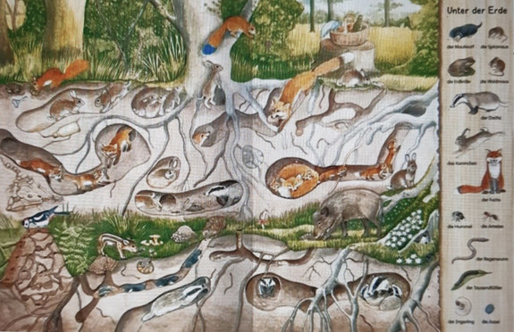 Zoogdieren onder de grond