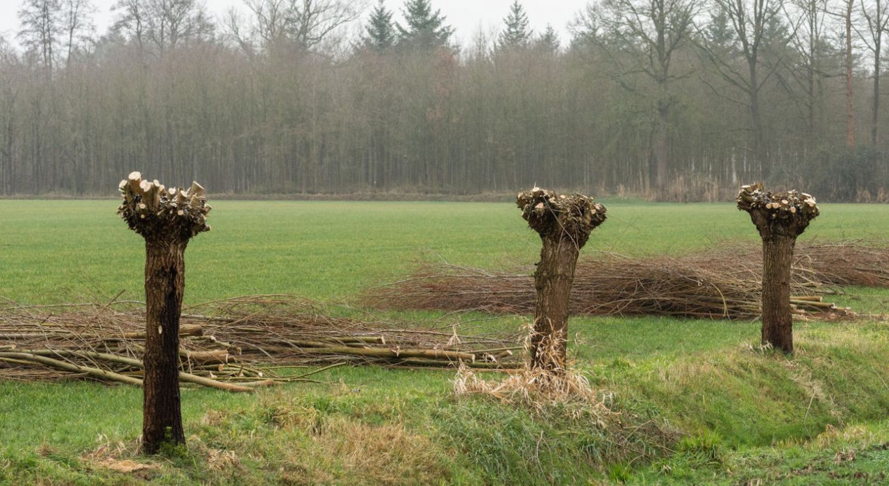 Landschapsbeheer