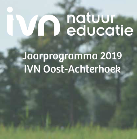 Jaarprogramma 2019