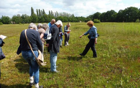 Verslag wandeling Lievelderveld op 19 juni 2016