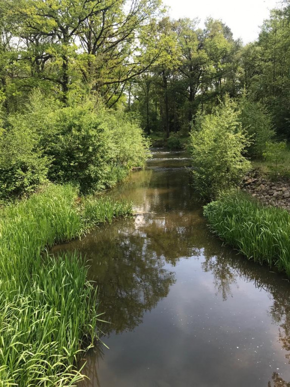 Ramsbeek3