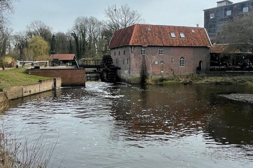 Oude watermolen naast een rivier, omgeven door bomen en grasrijke oevers.