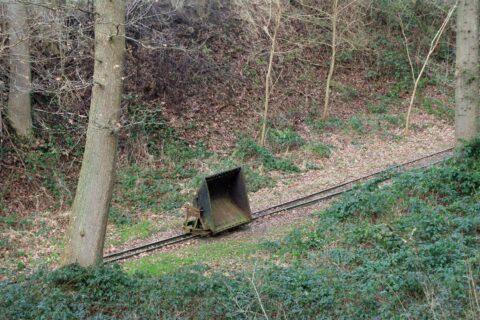 Oude mijnkar op smalspoorrails in een bosrijke omgeving.
