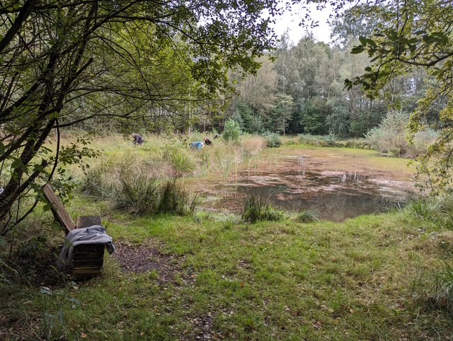 Een bankje bij een bosven omgeven door bomen en struiken, met mensen op de achtergrond.