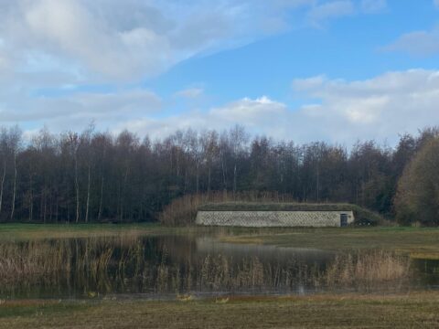 Natuurlandschap met water, riet, een lage bunker en kale bomen tegen een bewolkte lucht.