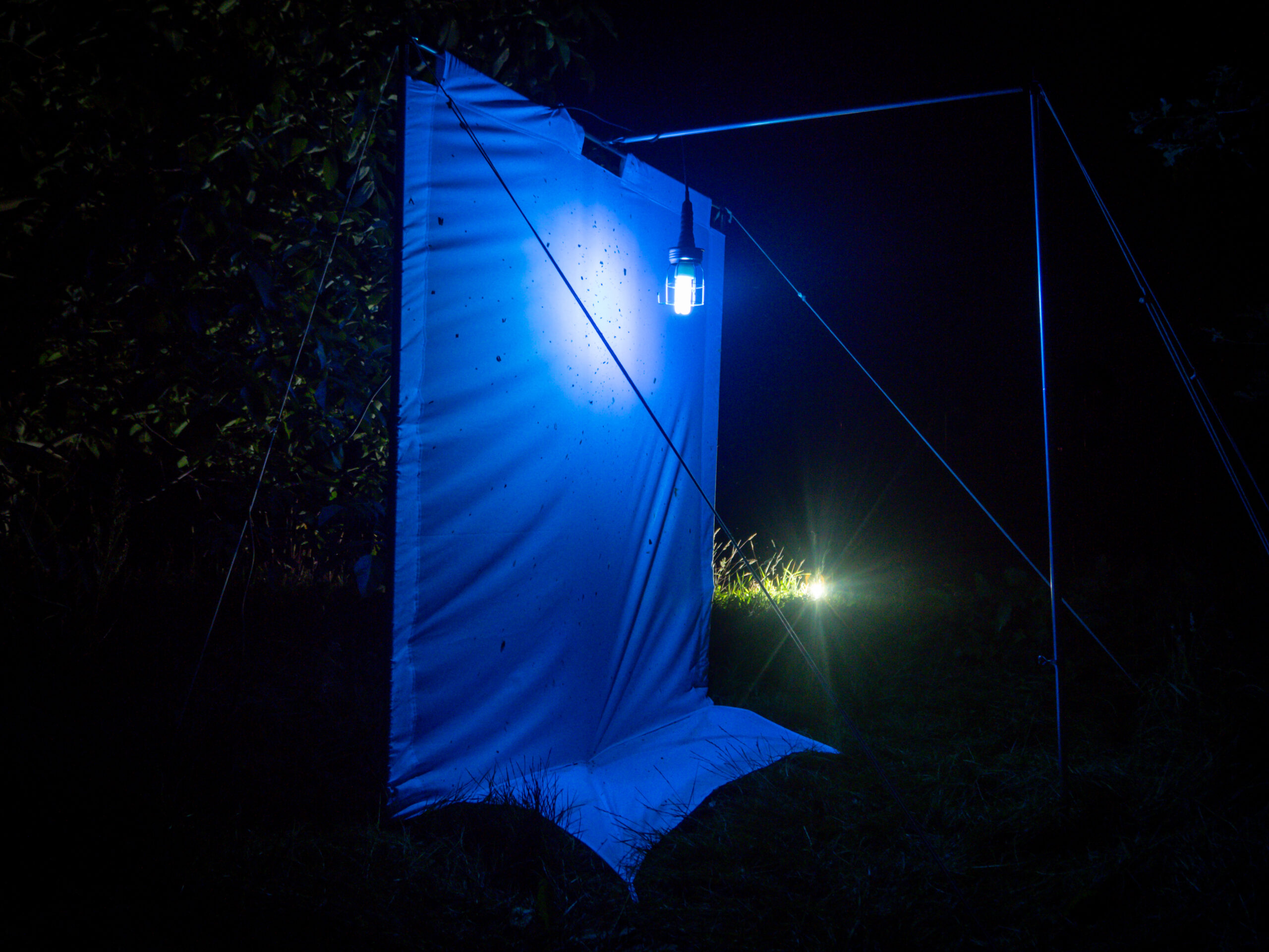 Een nachtelijke scène met een blauw verlichte tent en lamp in een donkere omgeving.