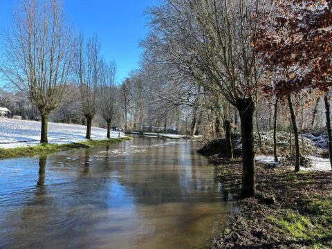 Sereen landschap met een rivier, kale bomen, sneeuw op de grond en een helderblauwe lucht.
