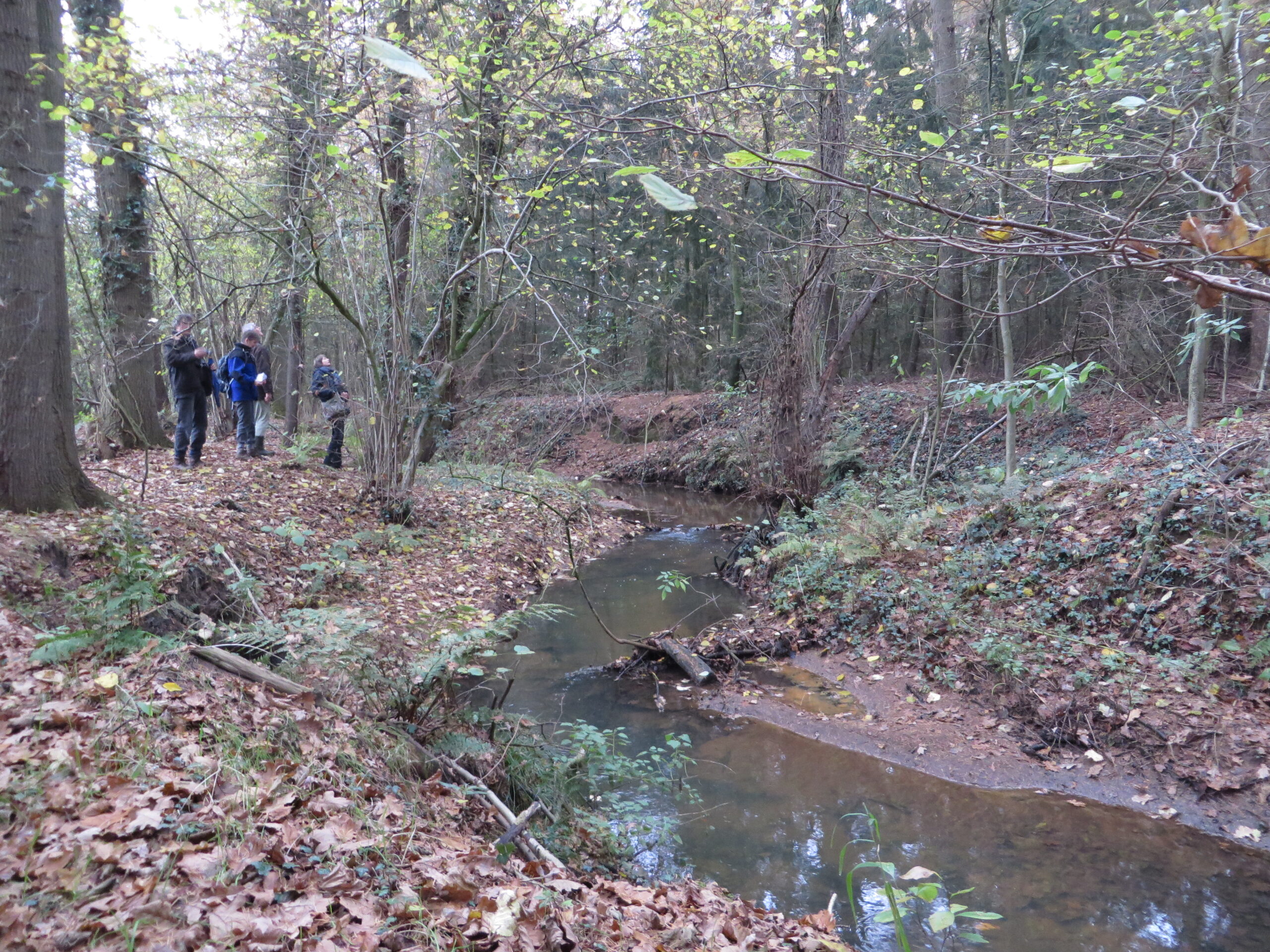 Wandelaars in een herfstbos naast een smal beekje, omringd door gevallen bladeren.