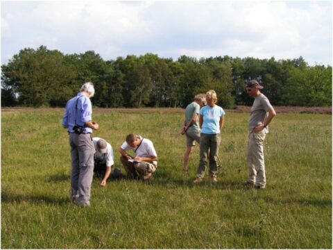 Groep mensen bestudeert een grasveld in een open landschap met bomen op de achtergrond.