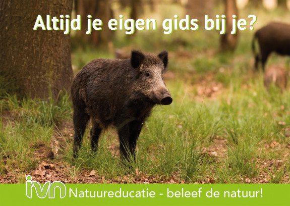 Route App IVN gids