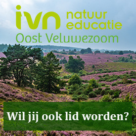 Button wil je ook lid worden 275x275