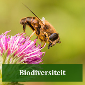 Button biodiversiteit