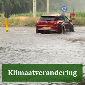 Button klimaatverandering 275x275