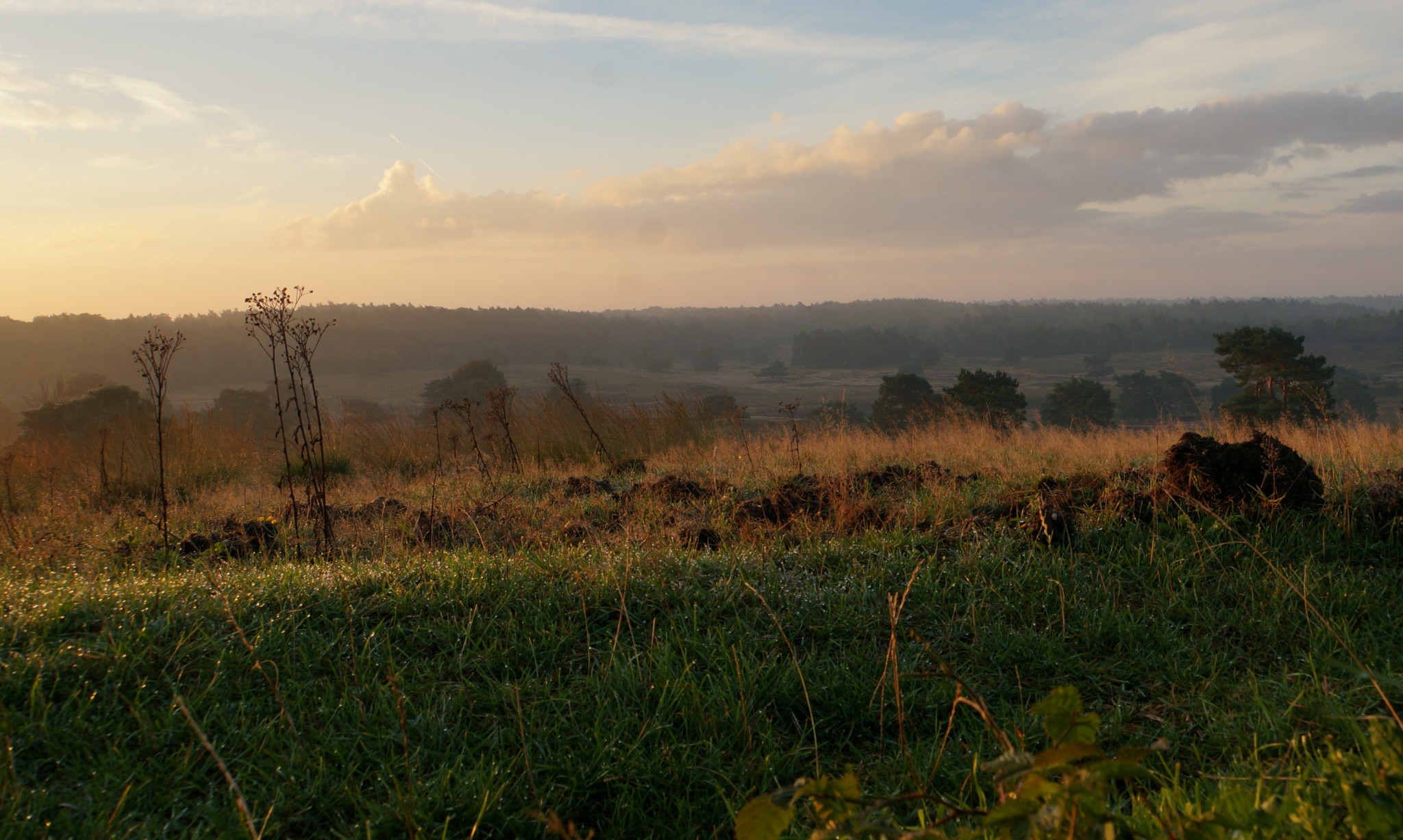 Geen Maandagmorgenwandeling op 6 december