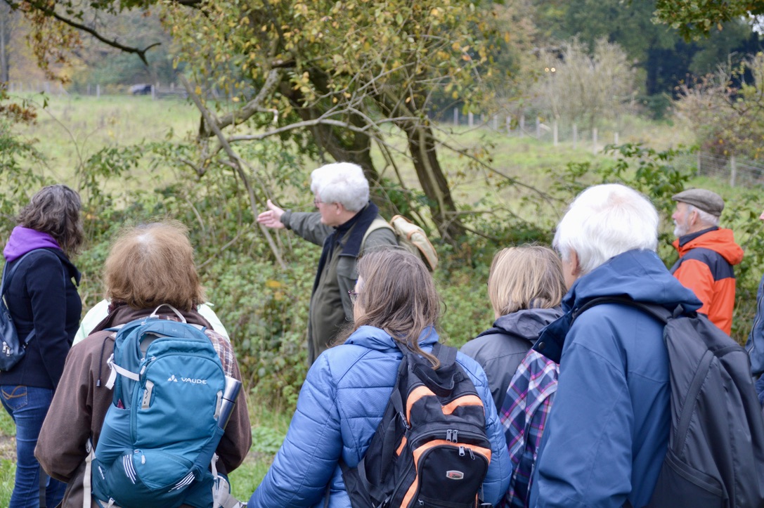 Nieuwe cursus “De groene verandering in de Veluwezoom” van start in het voorjaar van 2022