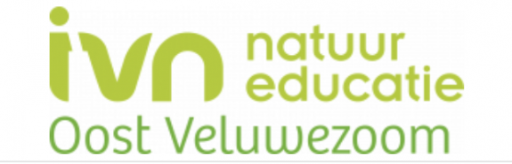 logo IVNov