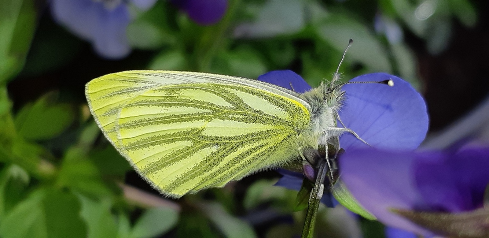 Nieuwe klimaatcursus in 2022