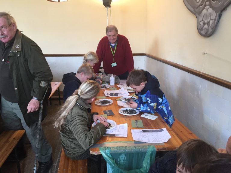 Promotie van IVN tijdens Faunadag Middachten en Lammetjesdag in Rheden