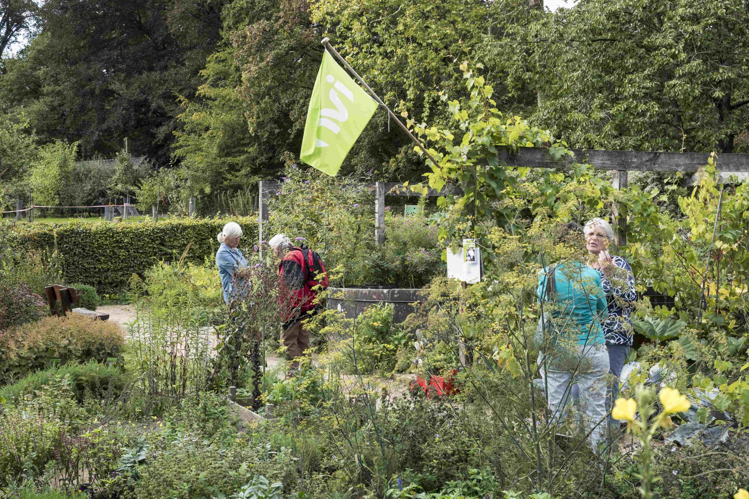 Mensen staan in een groene tuin met een groene vlag boven hen.