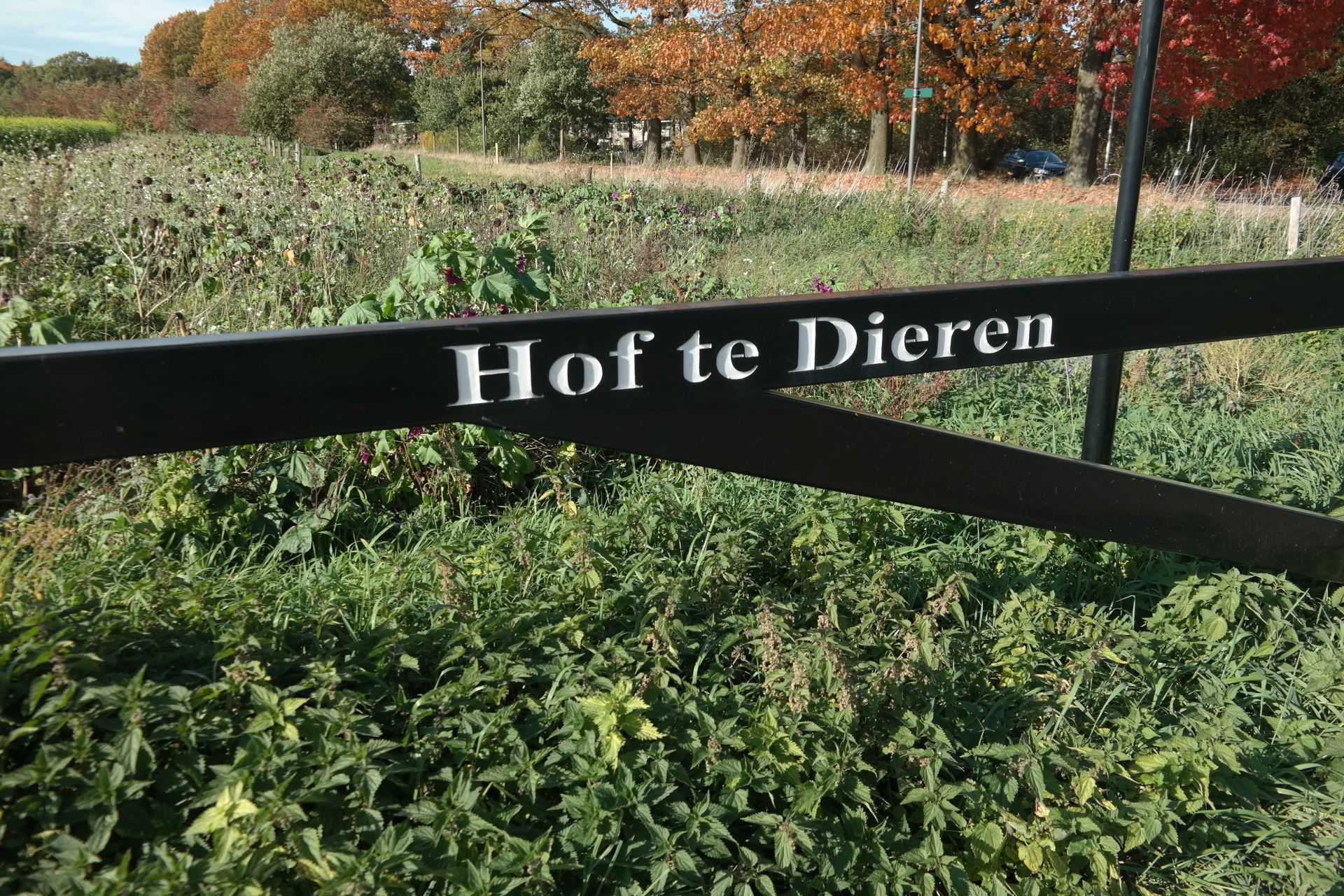 Zwarte poort met "Hof te Dieren", groene veld en herfstbladeren op achtergrond.